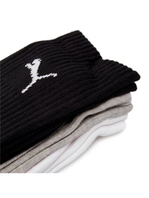 Шкарпетки та гольфи PUMA Crew Sock 3P модель 880355 Фото