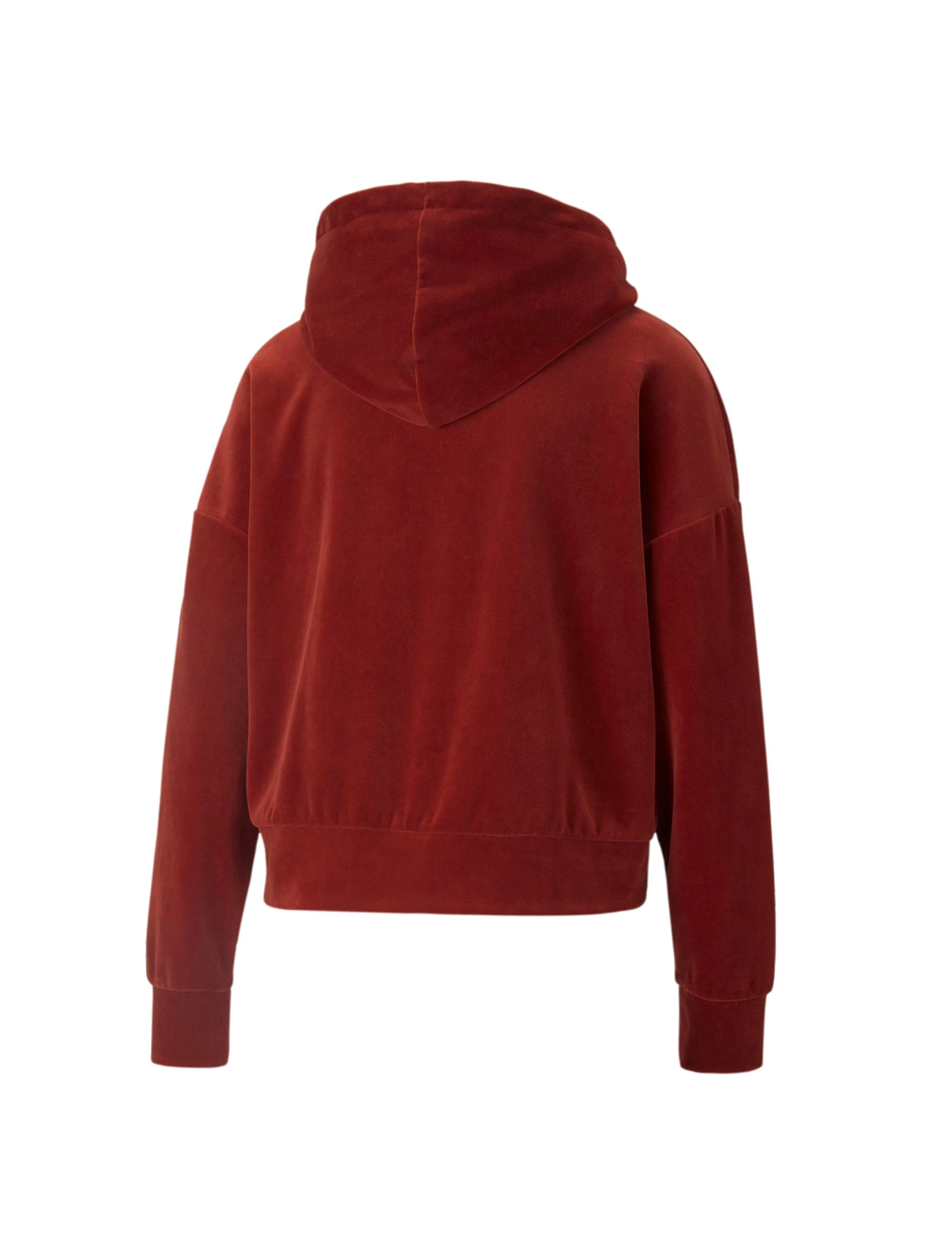 Худі та світшоти PUMA HER Velour Hoodie модель 589520 Худі та світшоти PUMA HER Velour Hoodie модель 589520 Фото