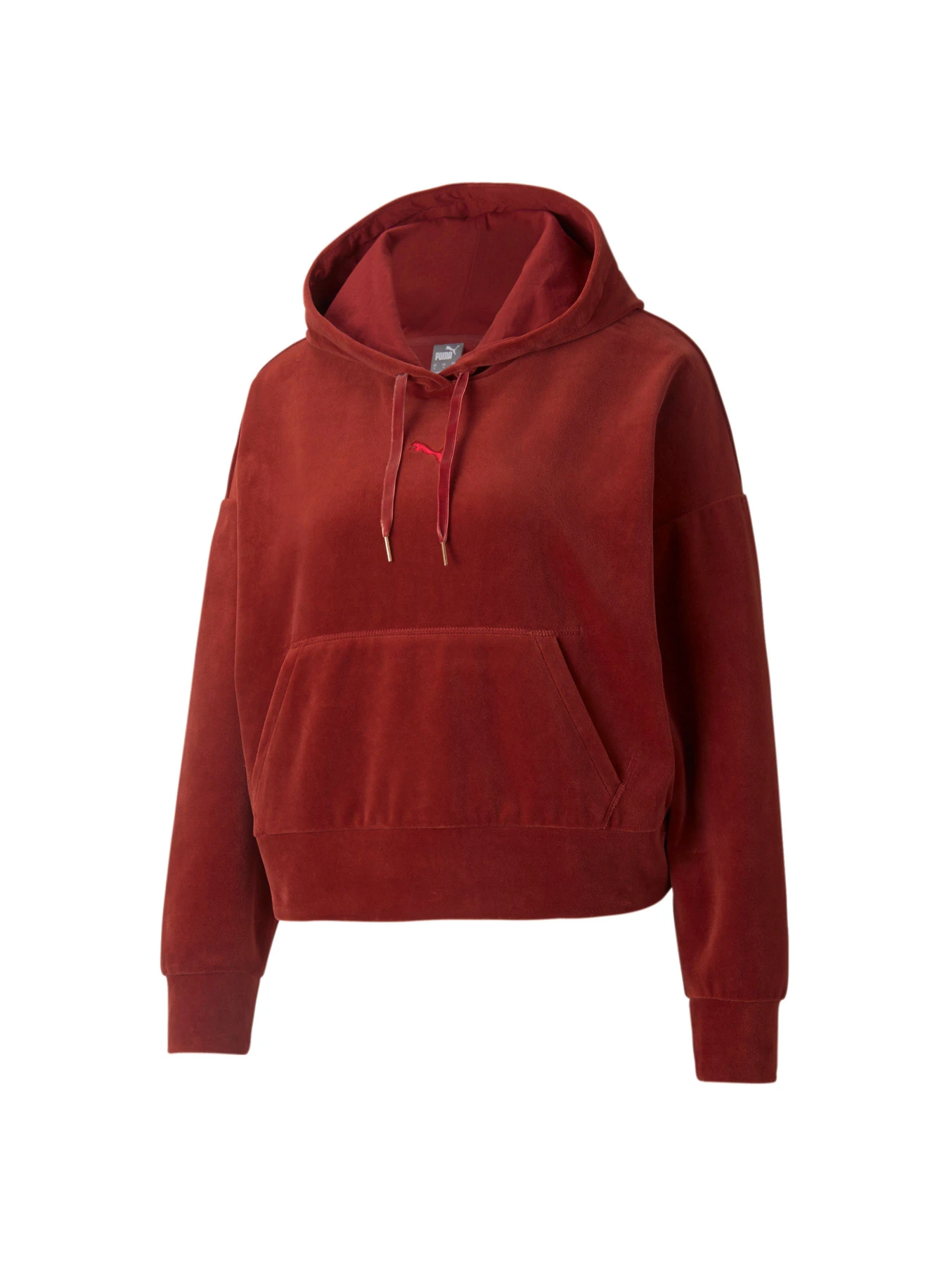 Худі та світшоти PUMA HER Velour Hoodie модель 589520 Худі та світшоти PUMA HER Velour Hoodie модель 589520 Фото