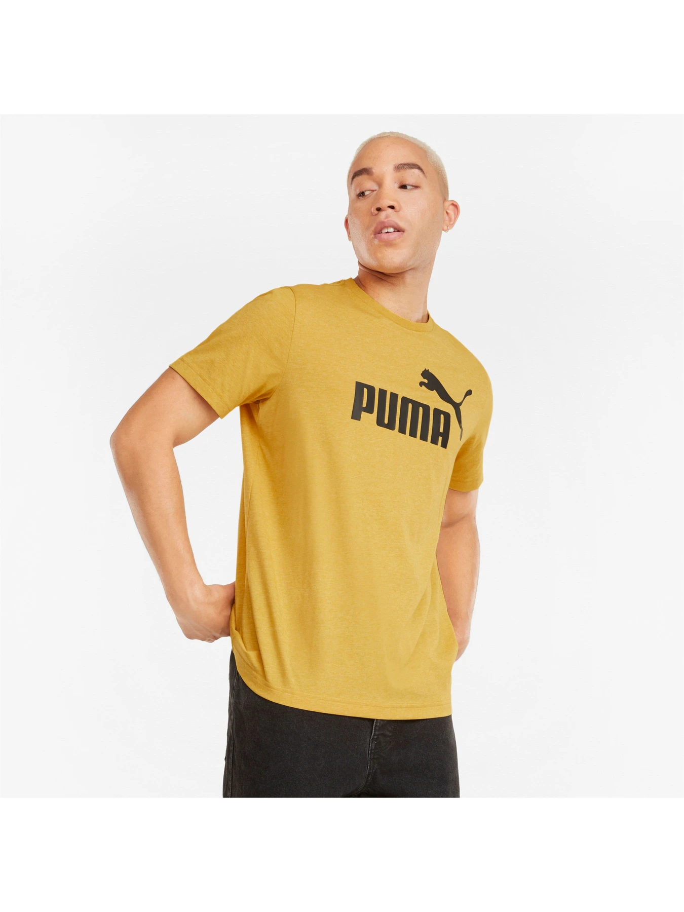 Футболки и поло PUMA модель 586736 Футболки и поло PUMA модель 586736 Фото