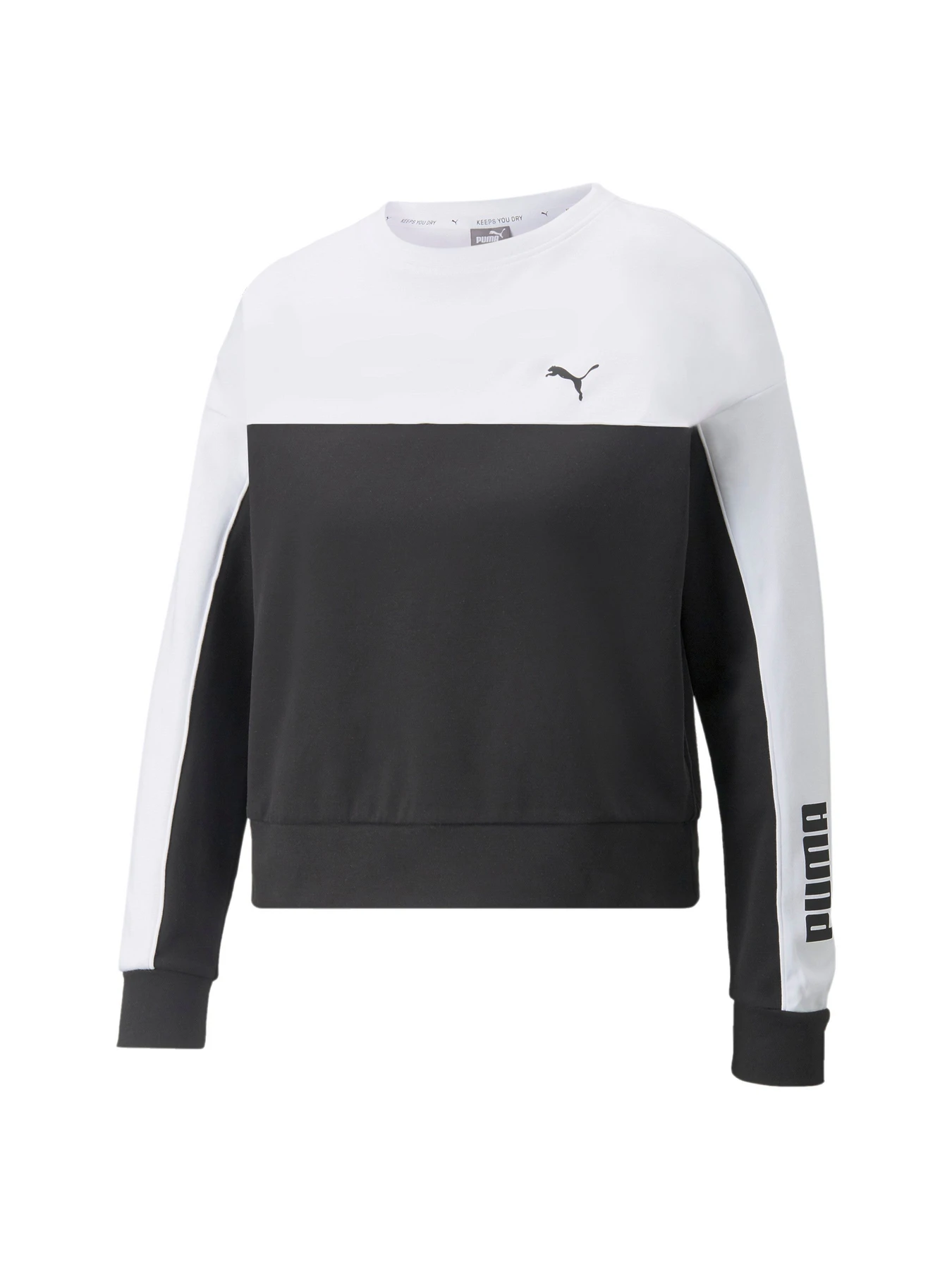 Худи и свитшоты PUMA модель 847103 Худи и свитшоты PUMA модель 847103 Фото