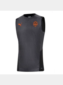 Футболки і поло PUMA Fcsd Training Jersey Sl модель 764108 Фото