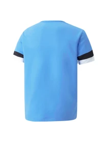 Футболки и поло PUMA Teamrise Jersey Jr модель 704938 Фото