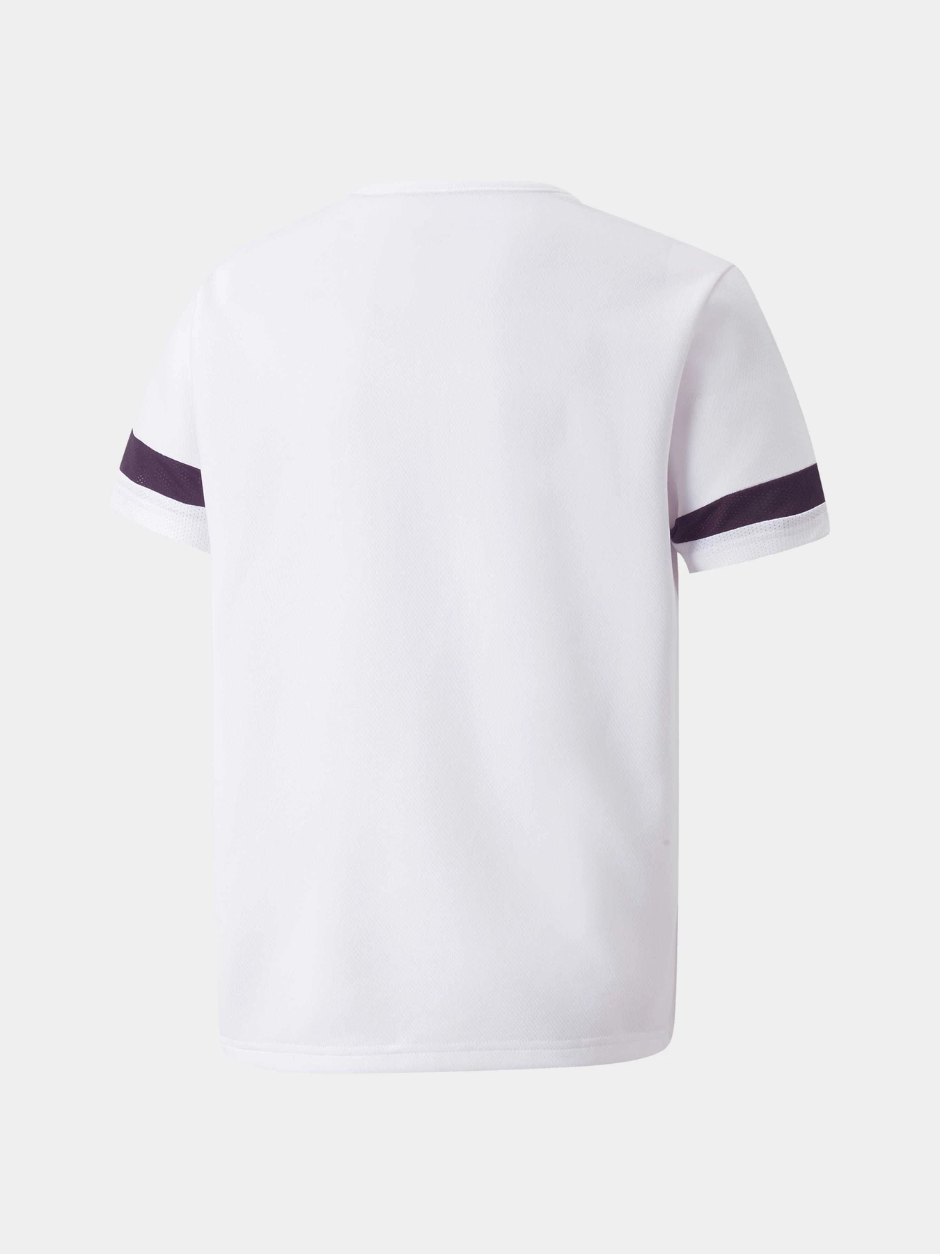 Футболки и поло PUMA Teamrise Jersey Jr модель 704938 Фото