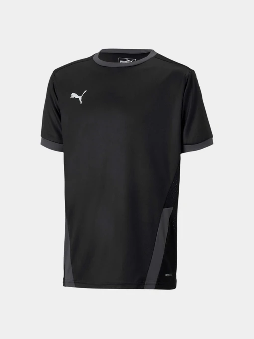 Футболки и поло PUMA Teamgoal 23 Jersey Jr модель 704160 Фото