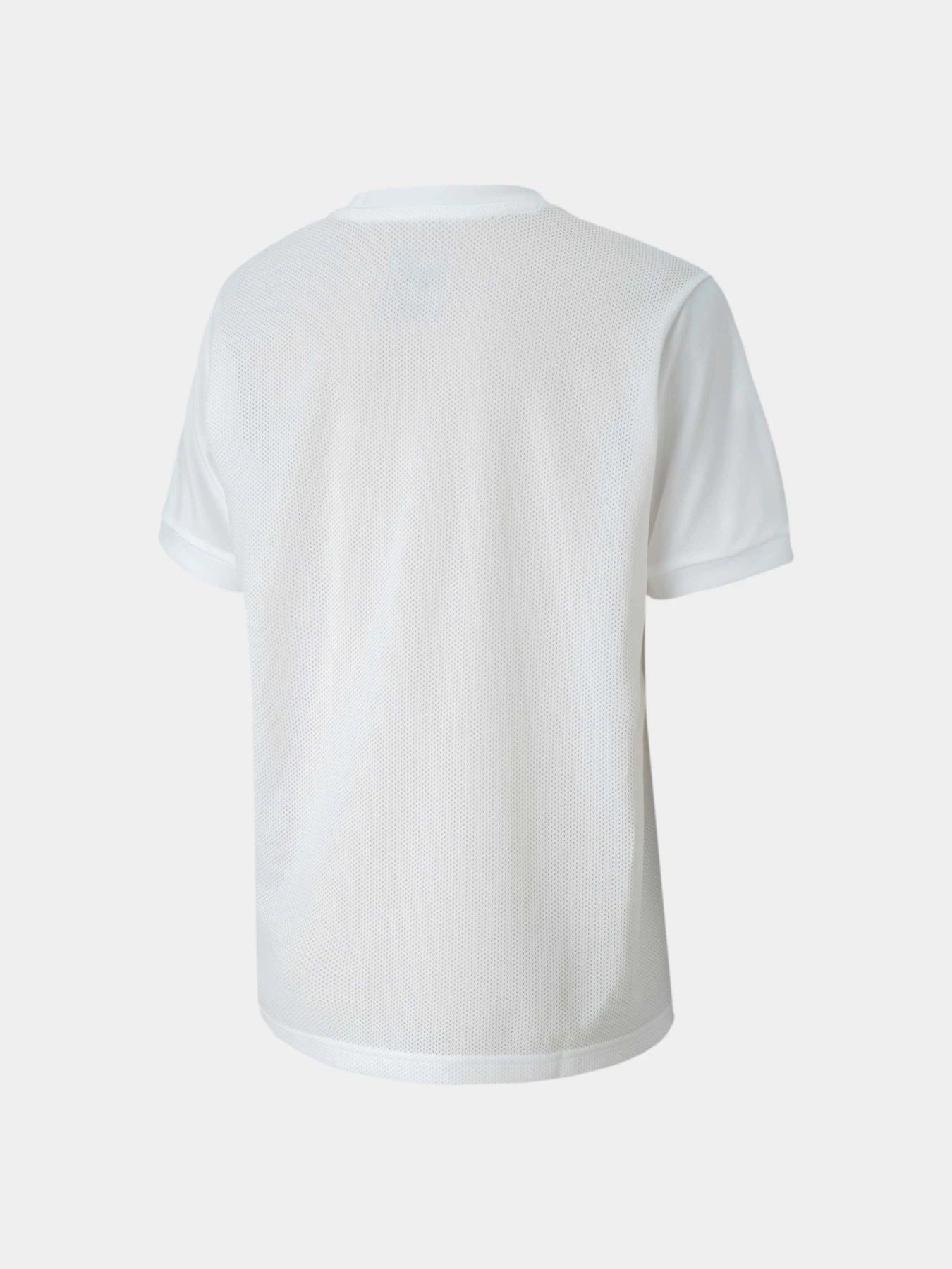 Футболки и поло PUMA Teamgoal 23 Jersey Jr модель 704160 Футболки и поло PUMA Teamgoal 23 Jersey Jr модель 704160 Фото