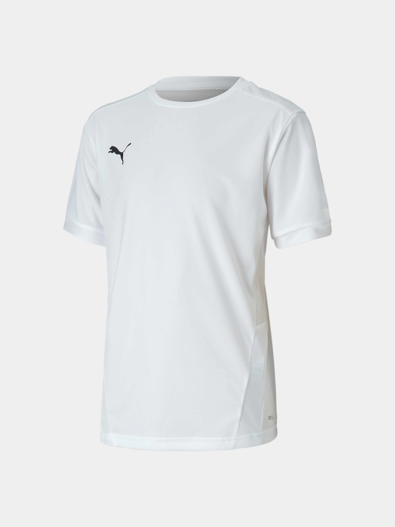 Футболки и поло PUMA Teamgoal 23 Jersey Jr модель 704160 Футболки и поло PUMA Teamgoal 23 Jersey Jr модель 704160 Фото