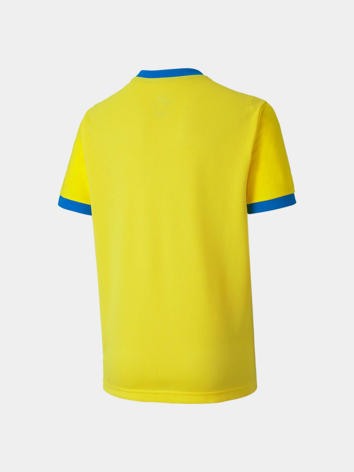 Футболки и поло PUMA Teamgoal 23 Jersey Jr модель 704160 Футболки и поло PUMA Teamgoal 23 Jersey Jr модель 704160 Фото
