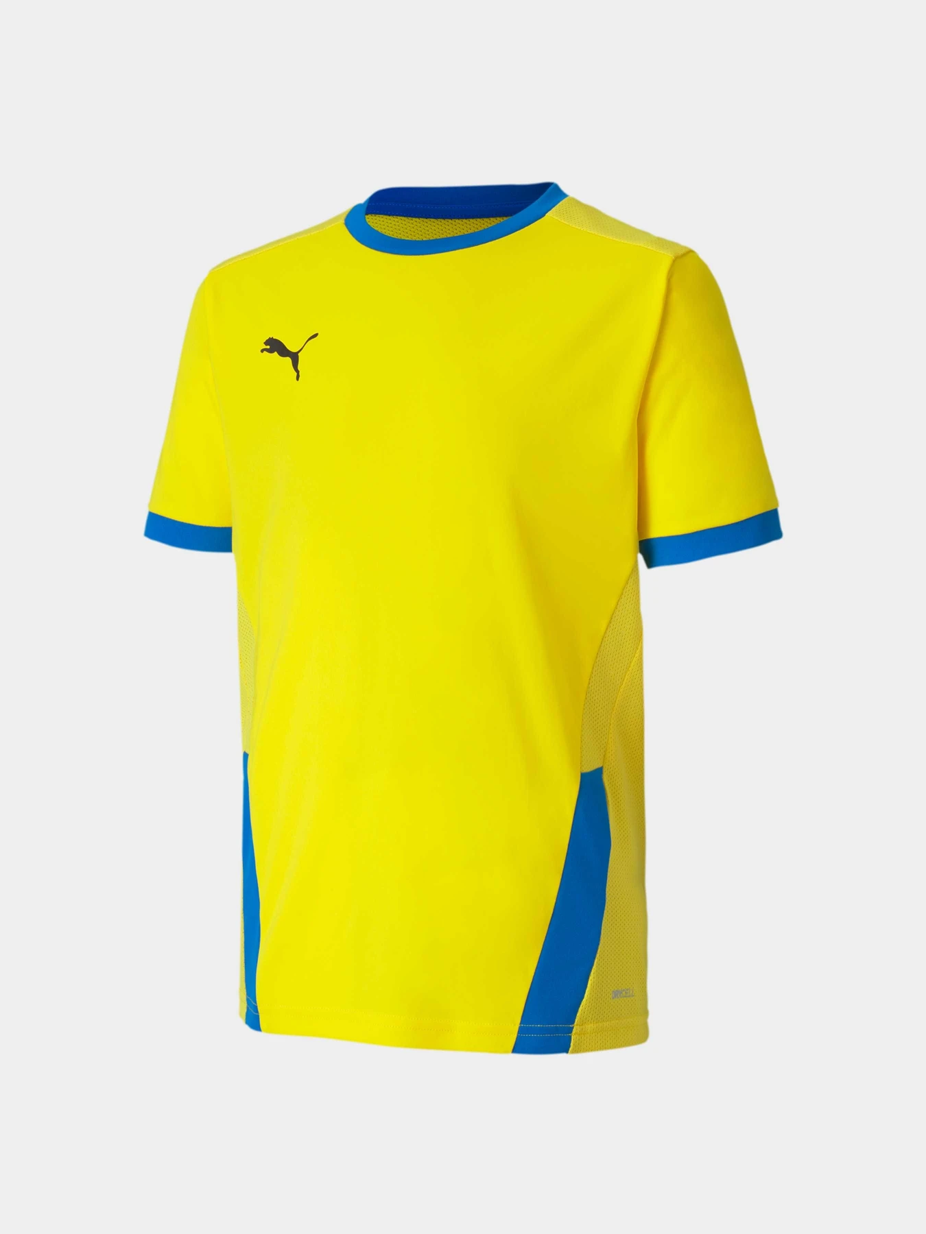 Футболки и поло PUMA Teamgoal 23 Jersey Jr модель 704160 Футболки и поло PUMA Teamgoal 23 Jersey Jr модель 704160 Фото