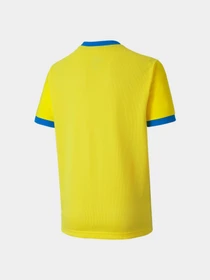 Футболки и поло PUMA Teamgoal 23 Jersey Jr модель 704160 Фото
