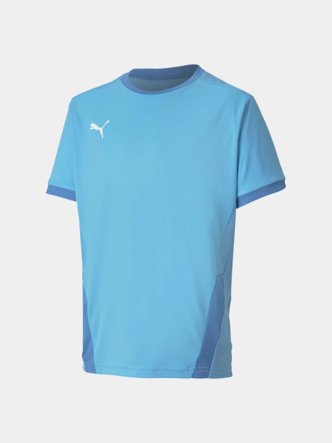 Футболки и поло PUMA Teamgoal 23 Jersey Jr модель 704160 Футболки и поло PUMA Teamgoal 23 Jersey Jr модель 704160 Фото