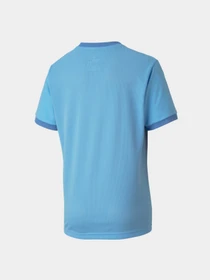 Футболки и поло PUMA Teamgoal 23 Jersey Jr модель 704160 Фото