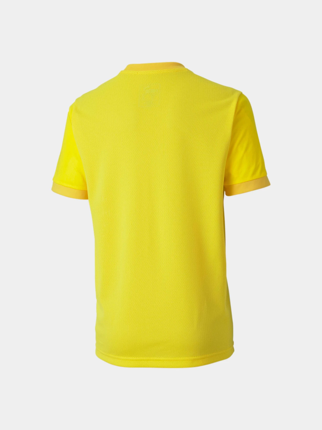 Футболки и поло PUMA Teamgoal 23 Jersey Jr модель 704160 Фото