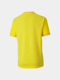 Футболки и поло PUMA Teamgoal 23 Jersey Jr модель 704160 Фото