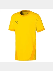 Футболки и поло PUMA Teamgoal 23 Jersey Jr модель 704160 Фото