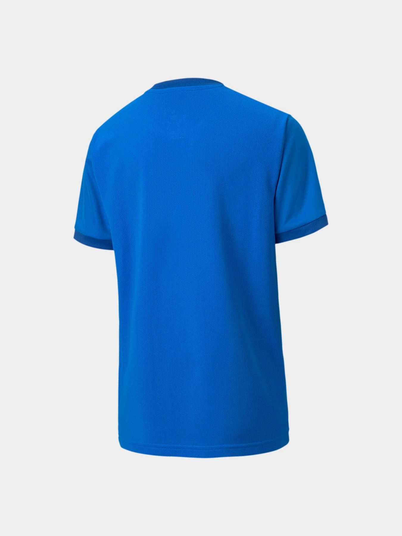 Футболки и поло PUMA Teamgoal 23 Jersey Jr модель 704160 Фото