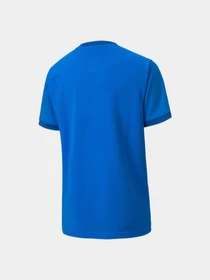 Футболки и поло PUMA Teamgoal 23 Jersey Jr модель 704160 Фото