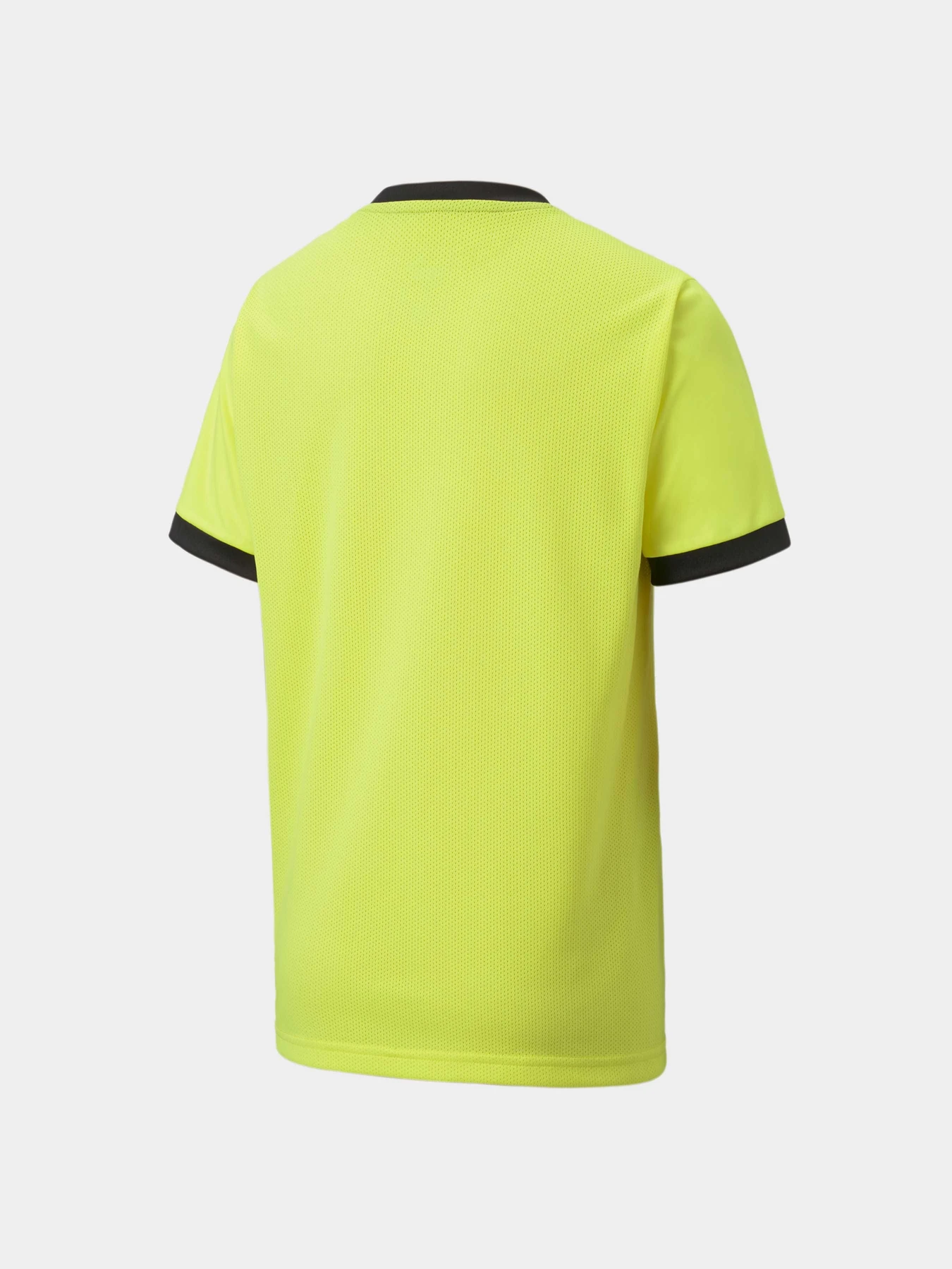 Футболки и поло PUMA Teamgoal 23 Jersey Jr модель 704160 Фото