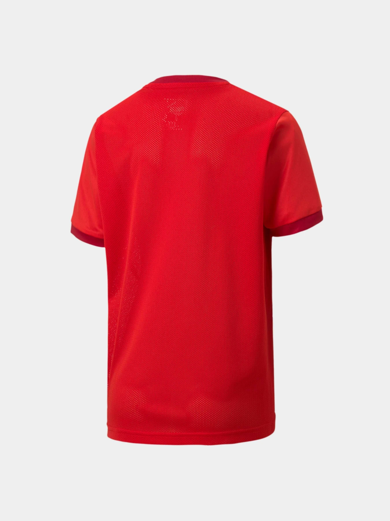 Футболки и поло PUMA Teamgoal 23 Jersey Jr модель 704160 Футболки и поло PUMA Teamgoal 23 Jersey Jr модель 704160 Фото