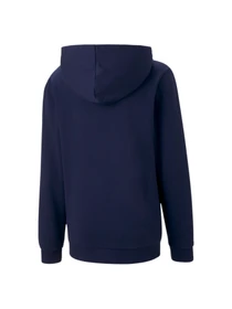 Худи и свитшоты PUMA Teamgoal 23 Casuals Hoody Jr модель 656711 Фото
