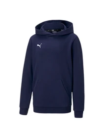 Худи и свитшоты PUMA Teamgoal 23 Casuals Hoody Jr модель 656711 Фото