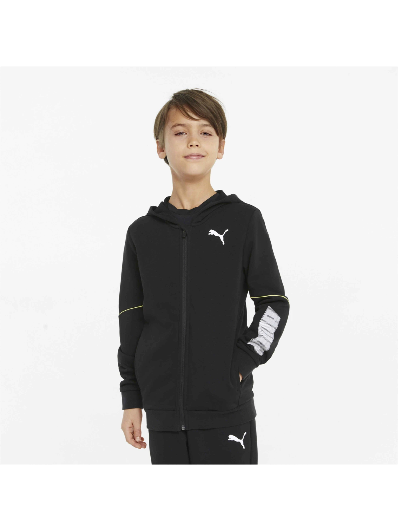 Худи и свитшоты PUMA Active Sports Fz Hoodie модель 846997 Фото