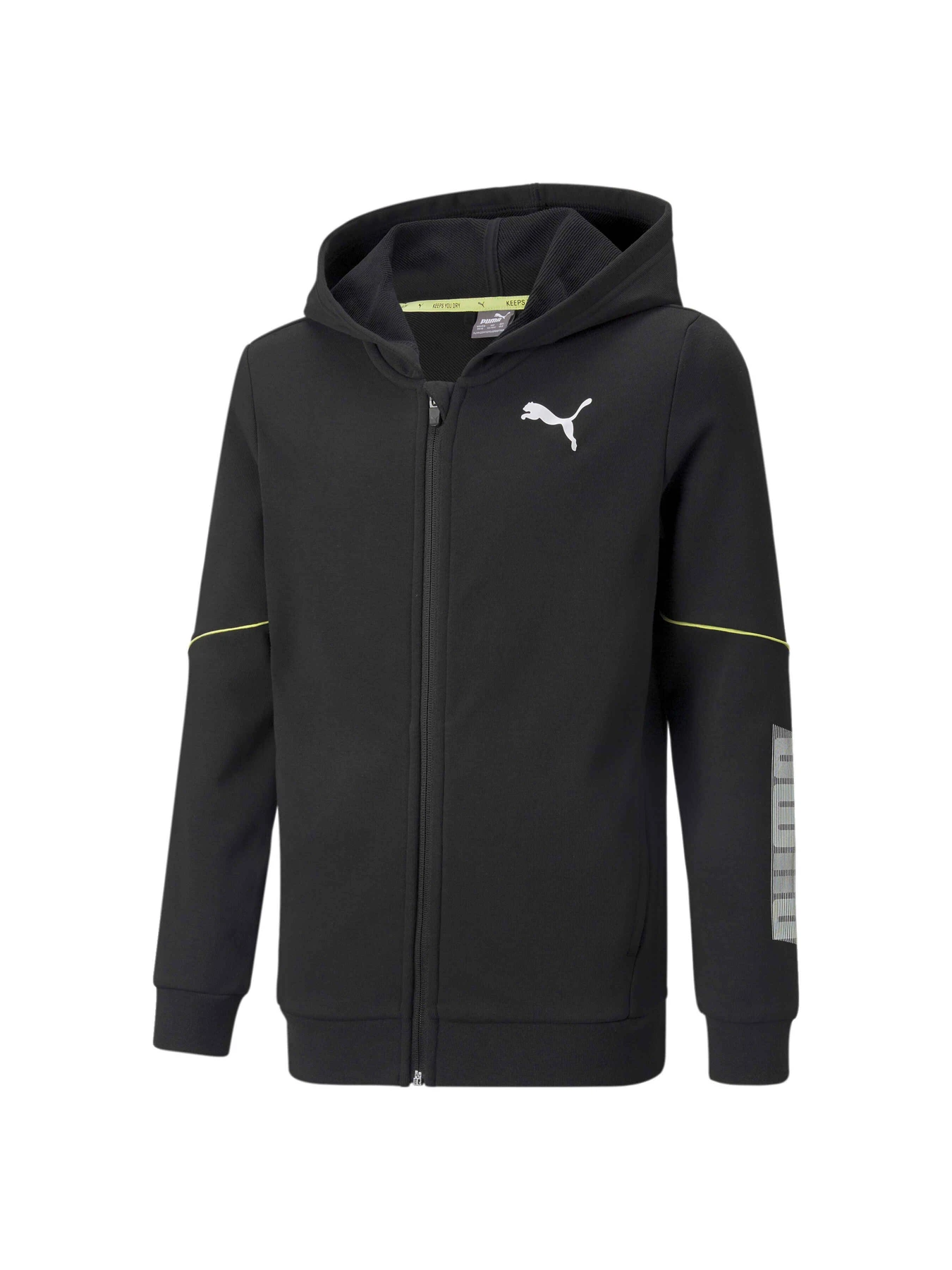 Худи и свитшоты PUMA Active Sports Fz Hoodie модель 846997 Фото