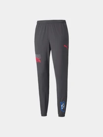 Брюки PUMA Neymar Jr Futebol Trg Pant модель 605600 Фото