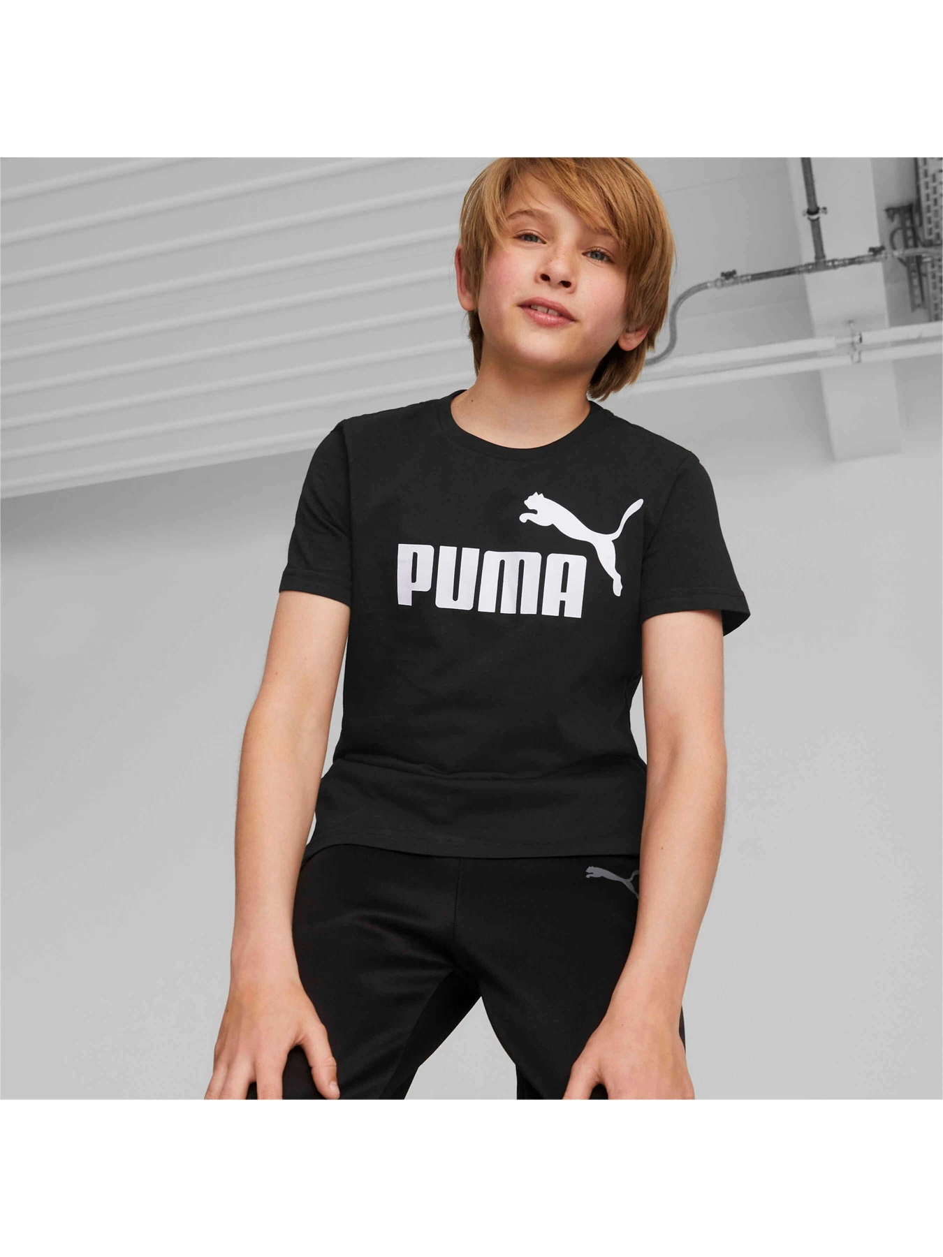 Футболки и поло PUMA Ess Logo Tee модель 586960 Фото