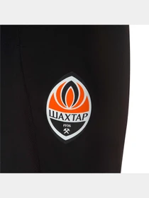 Брюки PUMA Fcsd Training Pants модель 764113 Фото