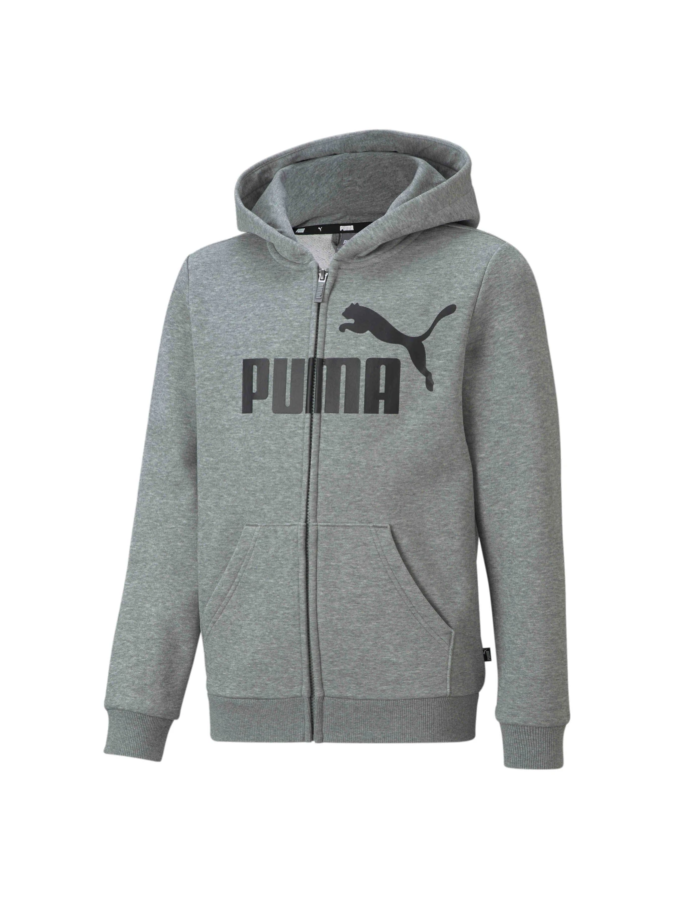 Худи и свитшоты PUMA Ess Big Logo Fz Hoodie модель 586968 Фото
