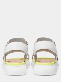 Сандалии Cole Haan модель W25444 Фото
