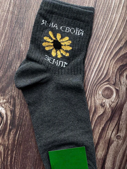 Носки и гольфы ISSA Plus модель GNS-64_grey Фото