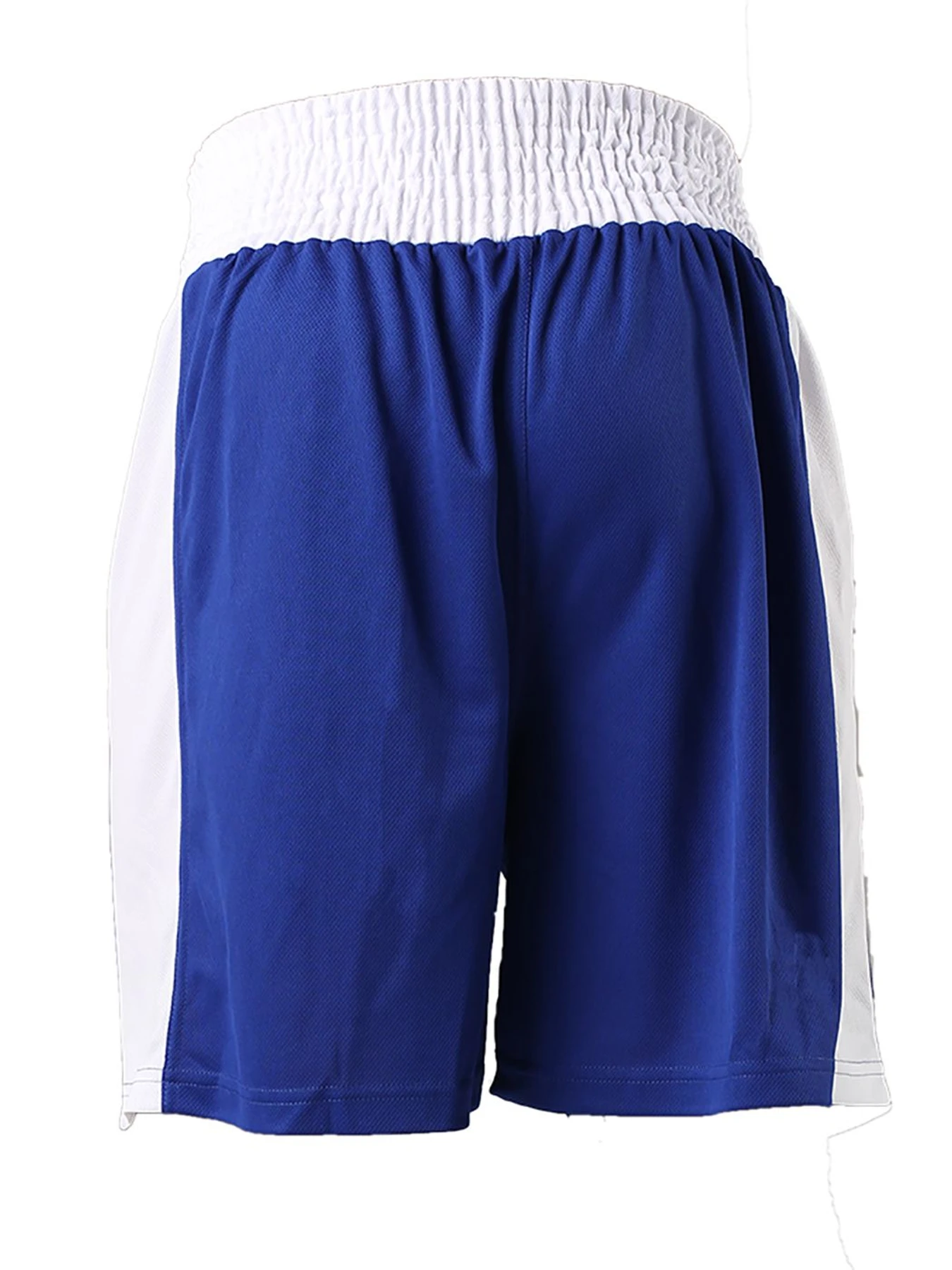 Шорты Berserk Sport модель BoxingBlueSHRT Фото