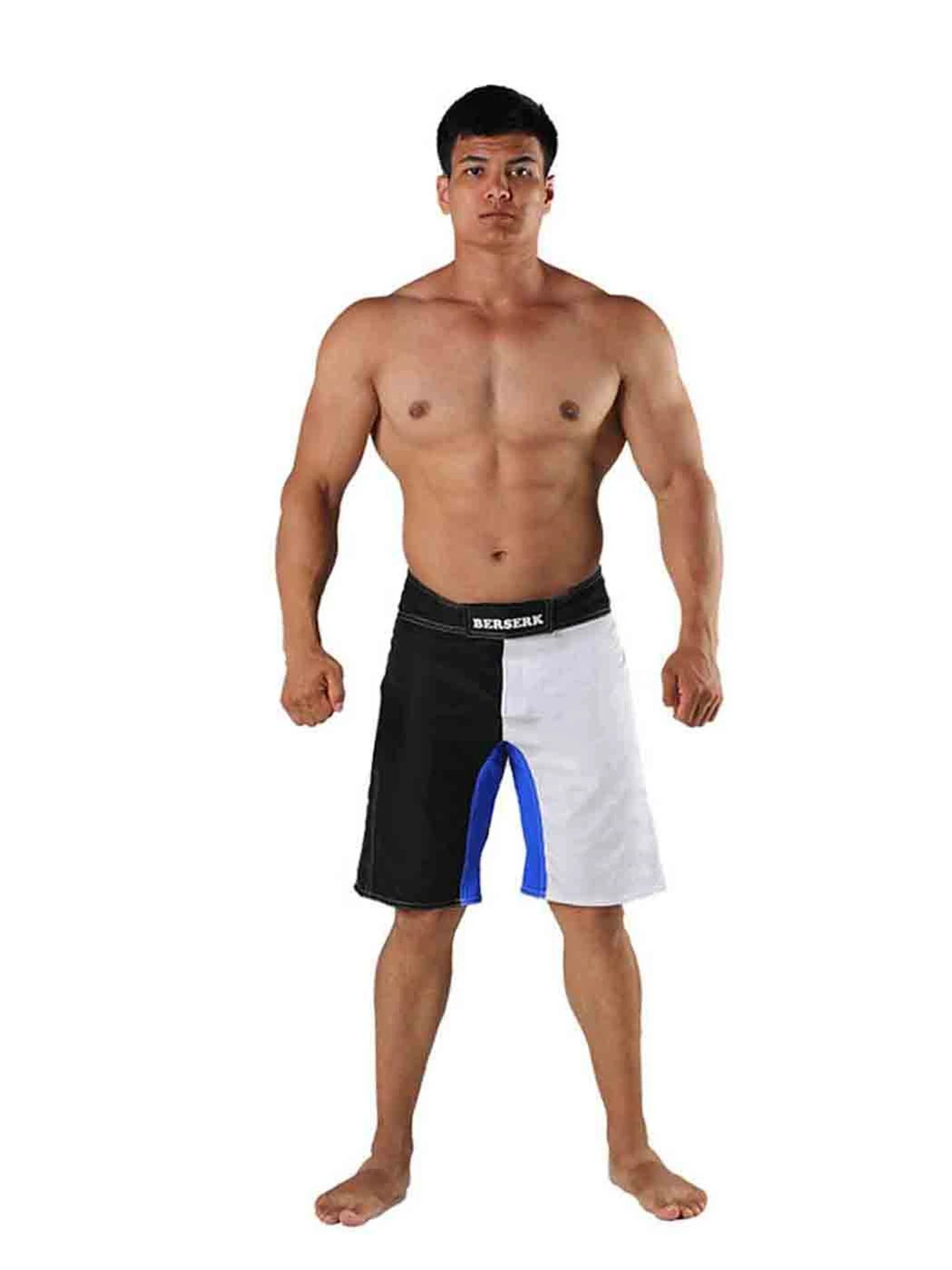 Шорты Berserk Sport модель LegacymultiWhiteSHRT Фото