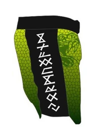 Шорты Berserk Sport модель HybridJormungandrGreenSHRT Фото