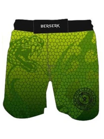 Шорты Berserk Sport модель HybridJormungandrGreenSHRT Фото