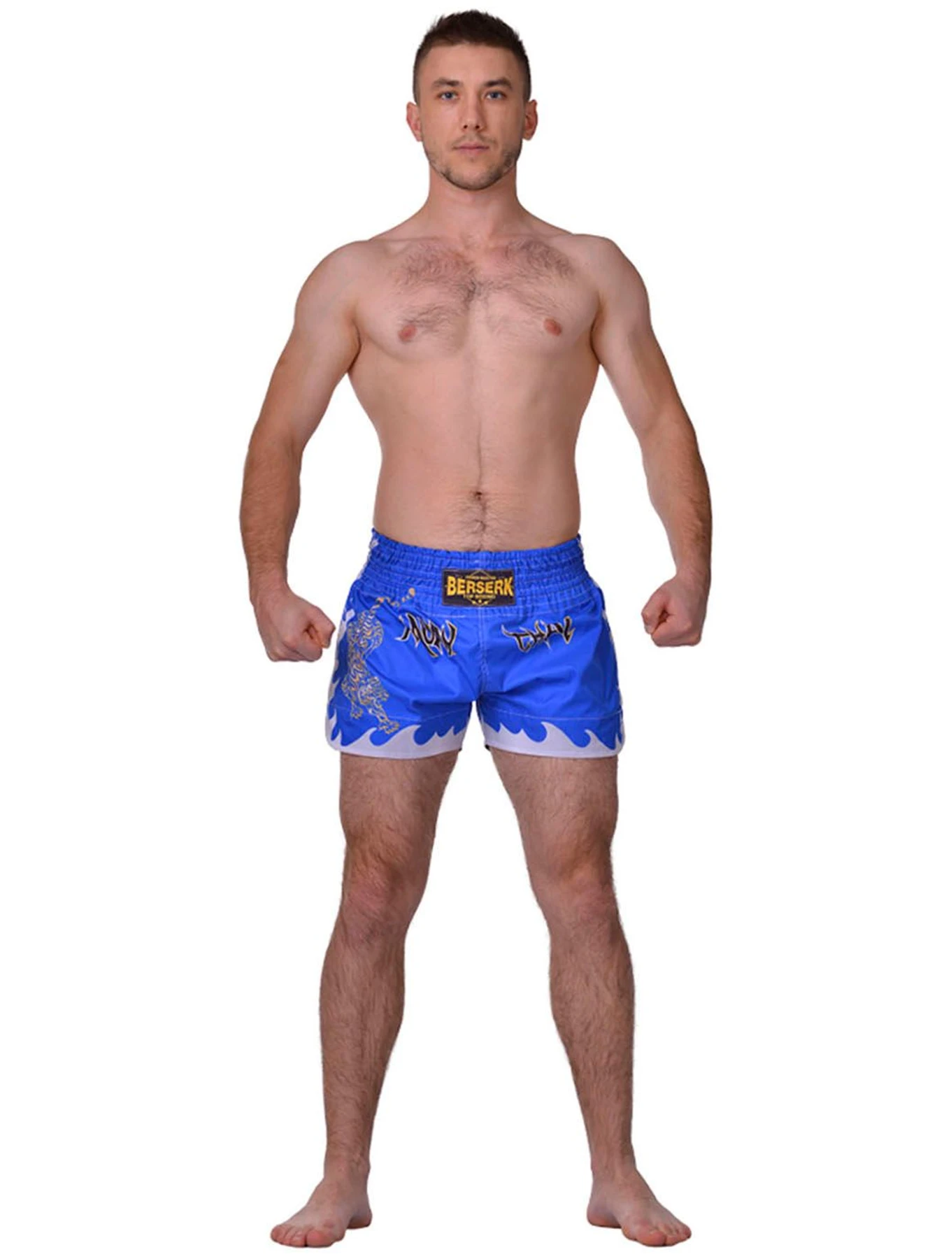 Шорты Berserk Sport модель MuayThaiFighterBlueSHRT Шорты Berserk Sport модель MuayThaiFighterBlueSHRT Фото