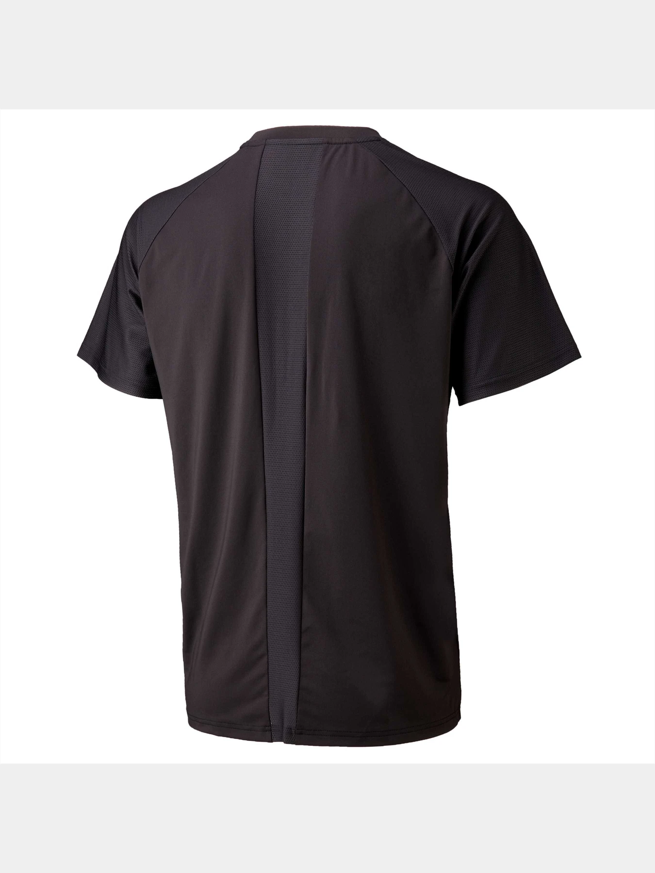 Футболки и поло PUMA Active Ess Tee Poly M модель 847187 Футболки и поло PUMA Active Ess Tee Poly M модель 847187 Фото