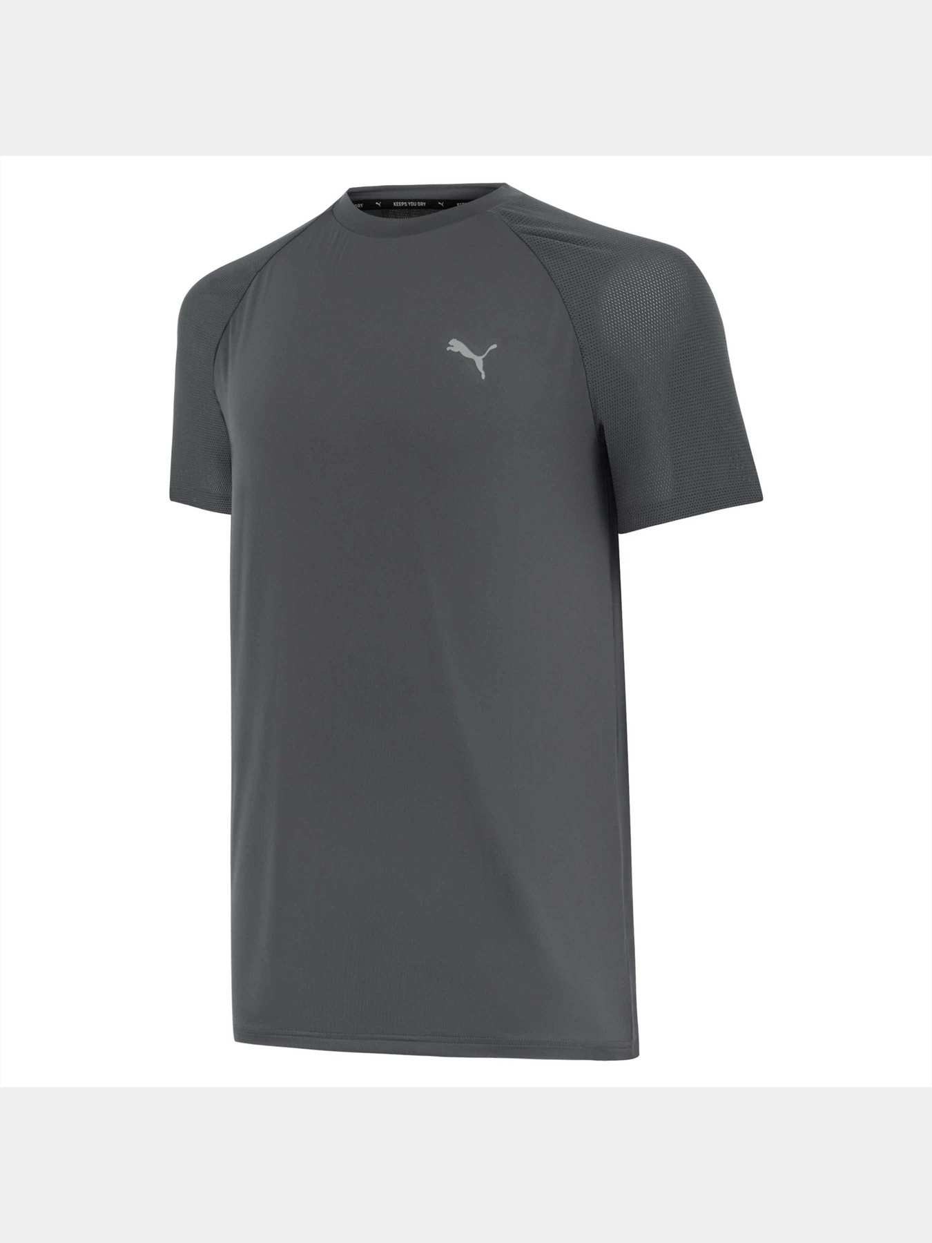 Футболки і поло PUMA Active Ess Tee Poly M модель 847187 Футболки і поло PUMA Active Ess Tee Poly M модель 847187 Фото