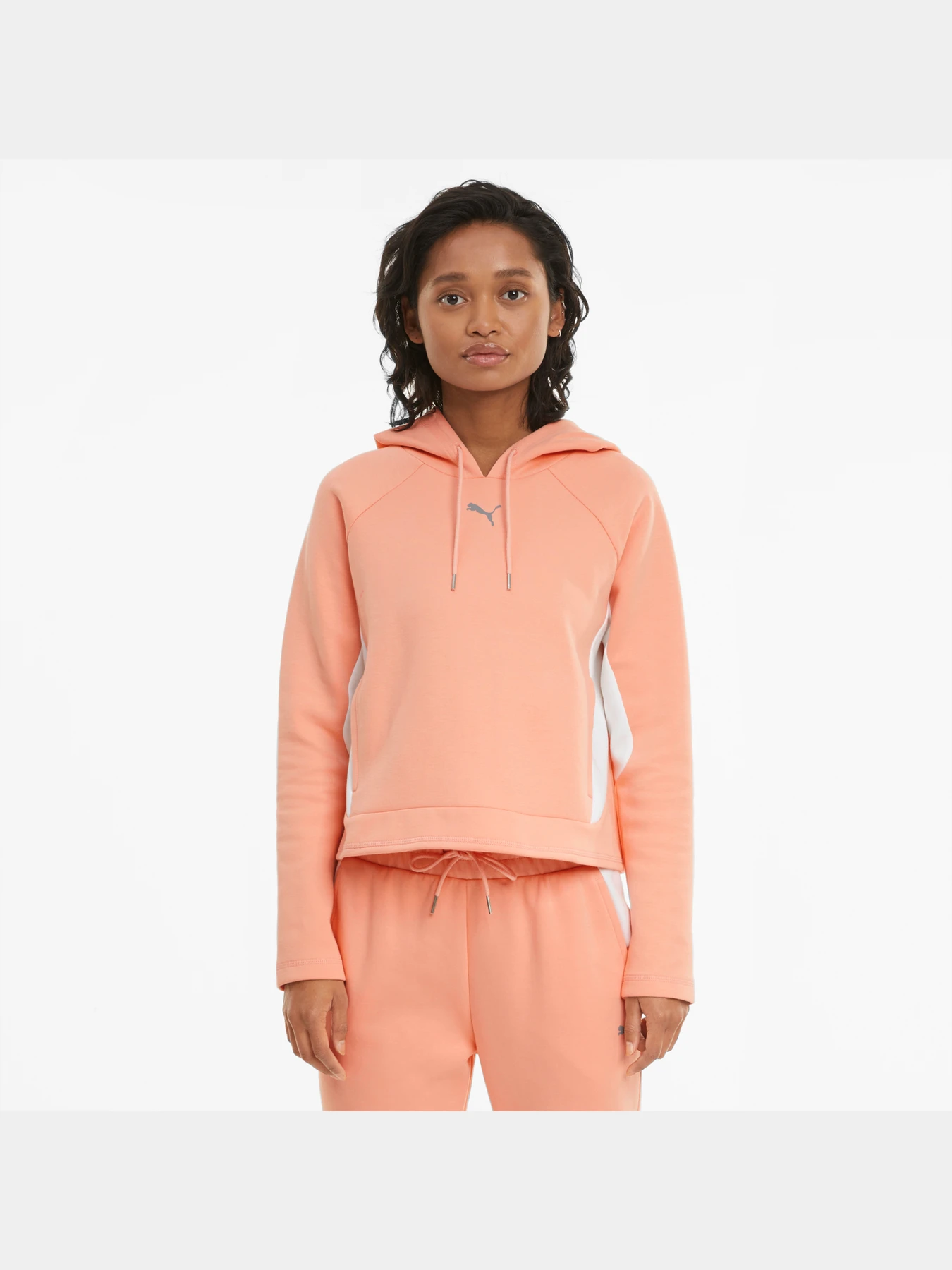 Худи и свитшоты PUMA Evostripe Hoodie модель 585944 Худи и свитшоты PUMA Evostripe Hoodie модель 585944 Фото