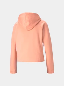 Худи и свитшоты PUMA Evostripe Hoodie модель 585944 Фото