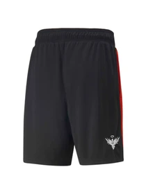 Шорти PUMA One Of One Flare Short модель 535112 Фото
