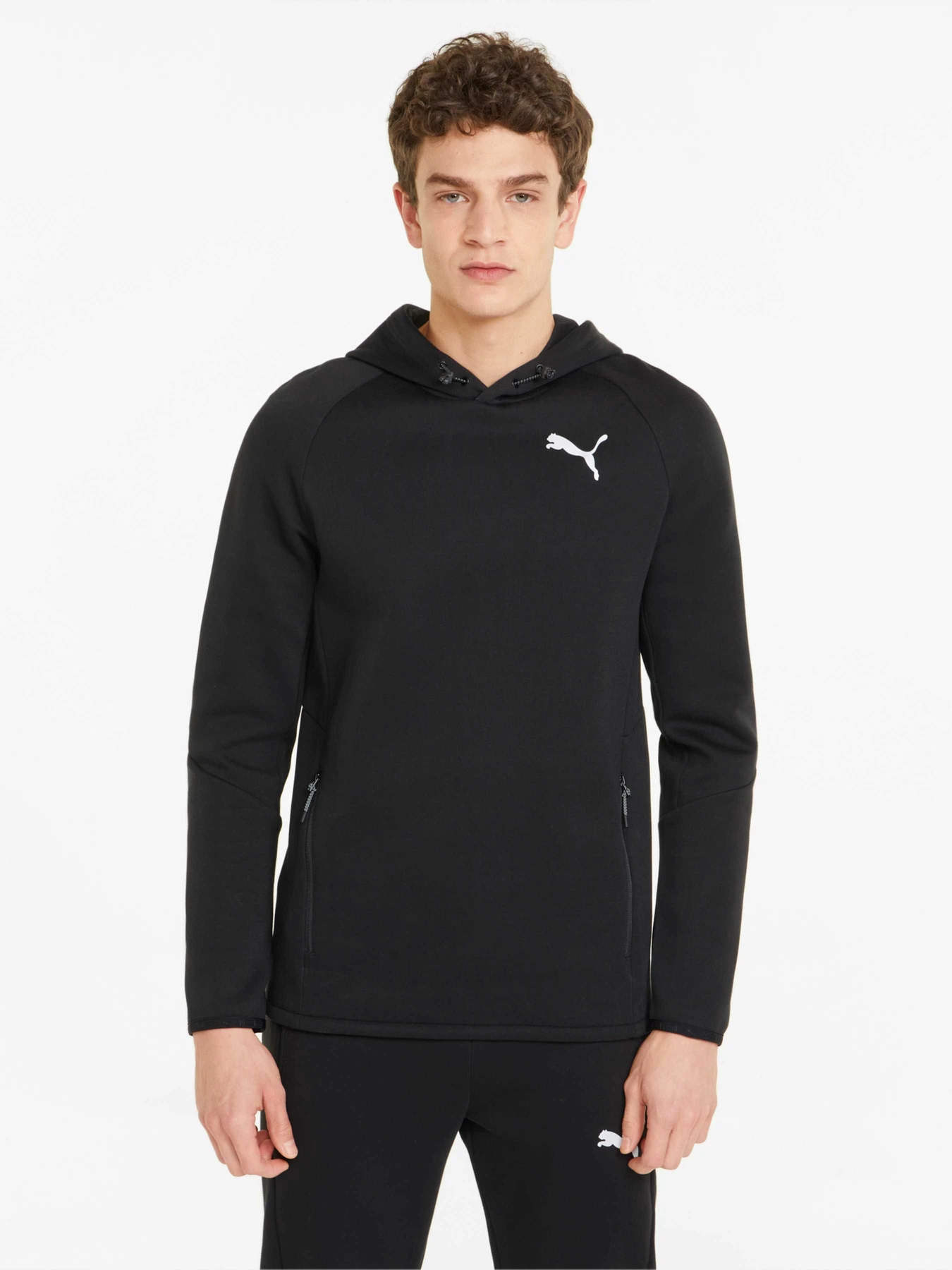 Худи и свитшоты PUMA Evostripe Hoodie модель 847400 Фото