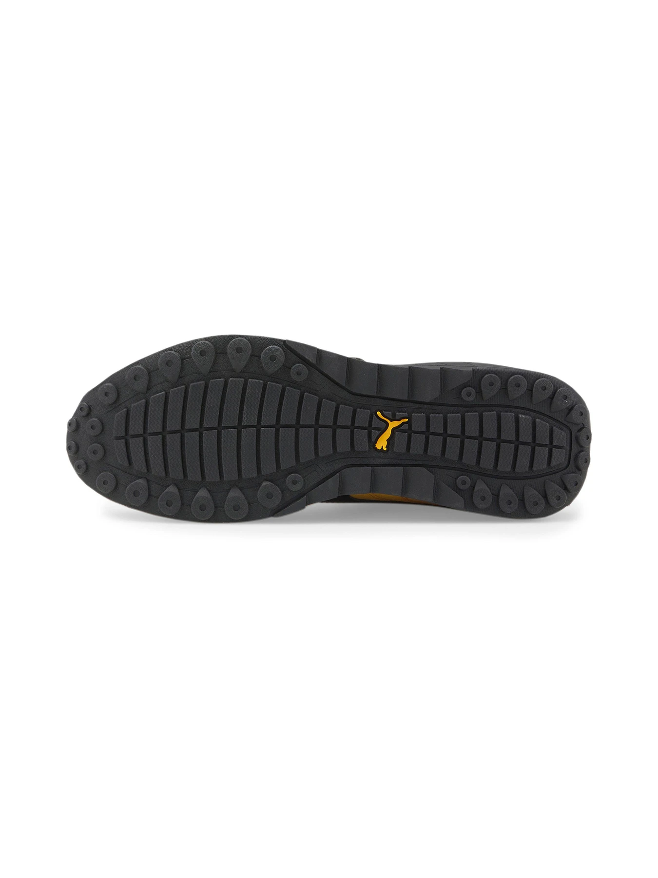 Кросівки PUMA модель 307169 Кросівки PUMA модель 307169 Фото