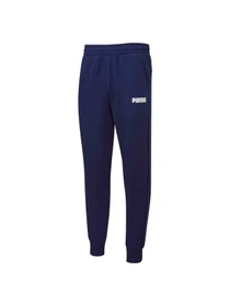Брюки PUMA Ess Pants Fl Cl M модель 847233 Фото