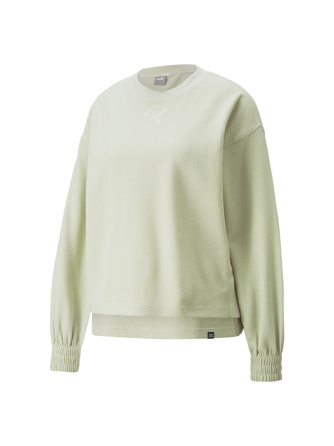 Худі та світшоти PUMA модель 848400 Худі та світшоти PUMA модель 848400 Фото