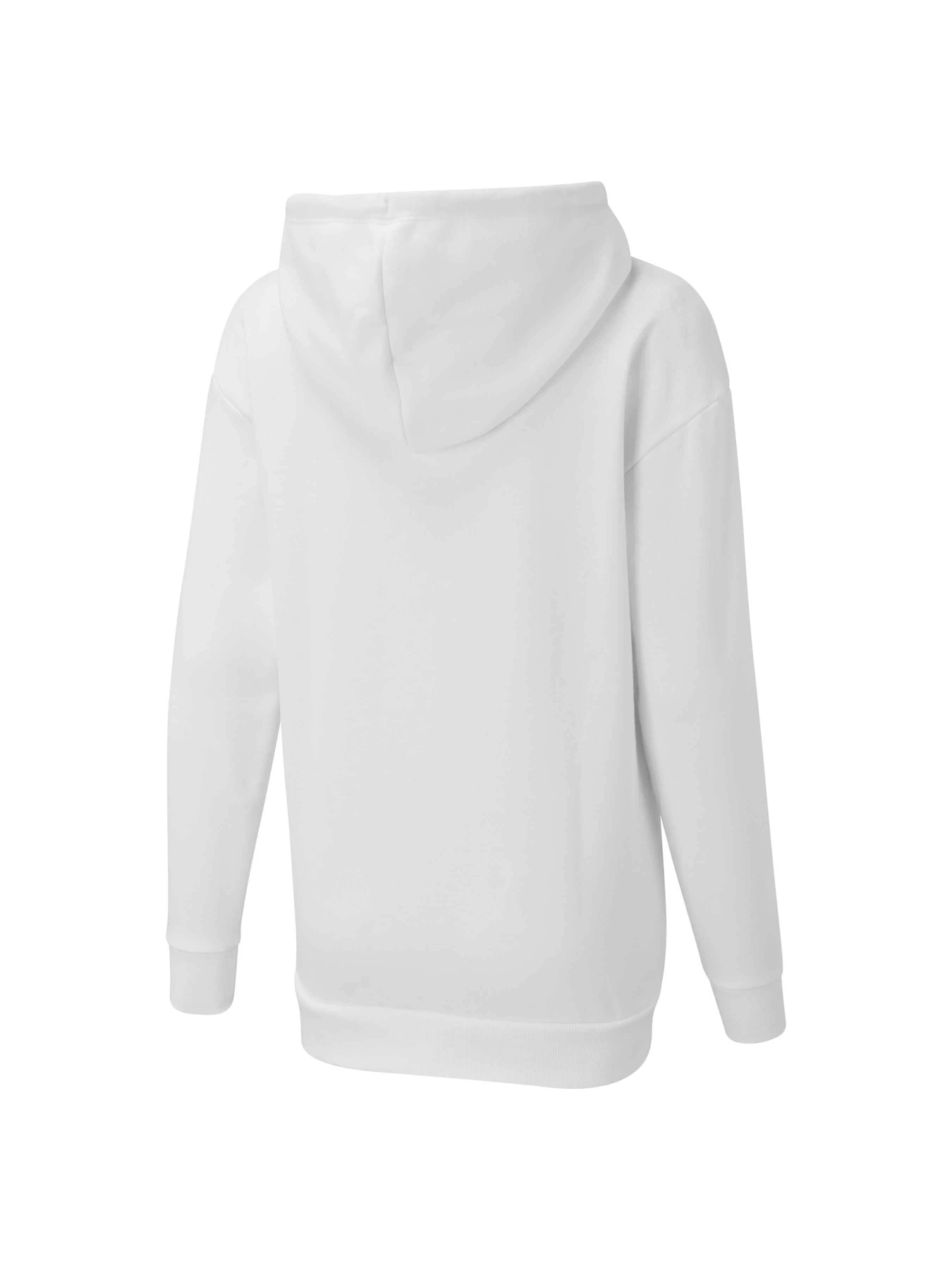 Худи и свитшоты PUMA Ess Oversized Hoody Fl W модель 847193 Фото