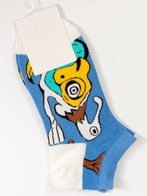 Шкарпетки та гольфи ISSA Plus модель NS-135_lightblue Фото