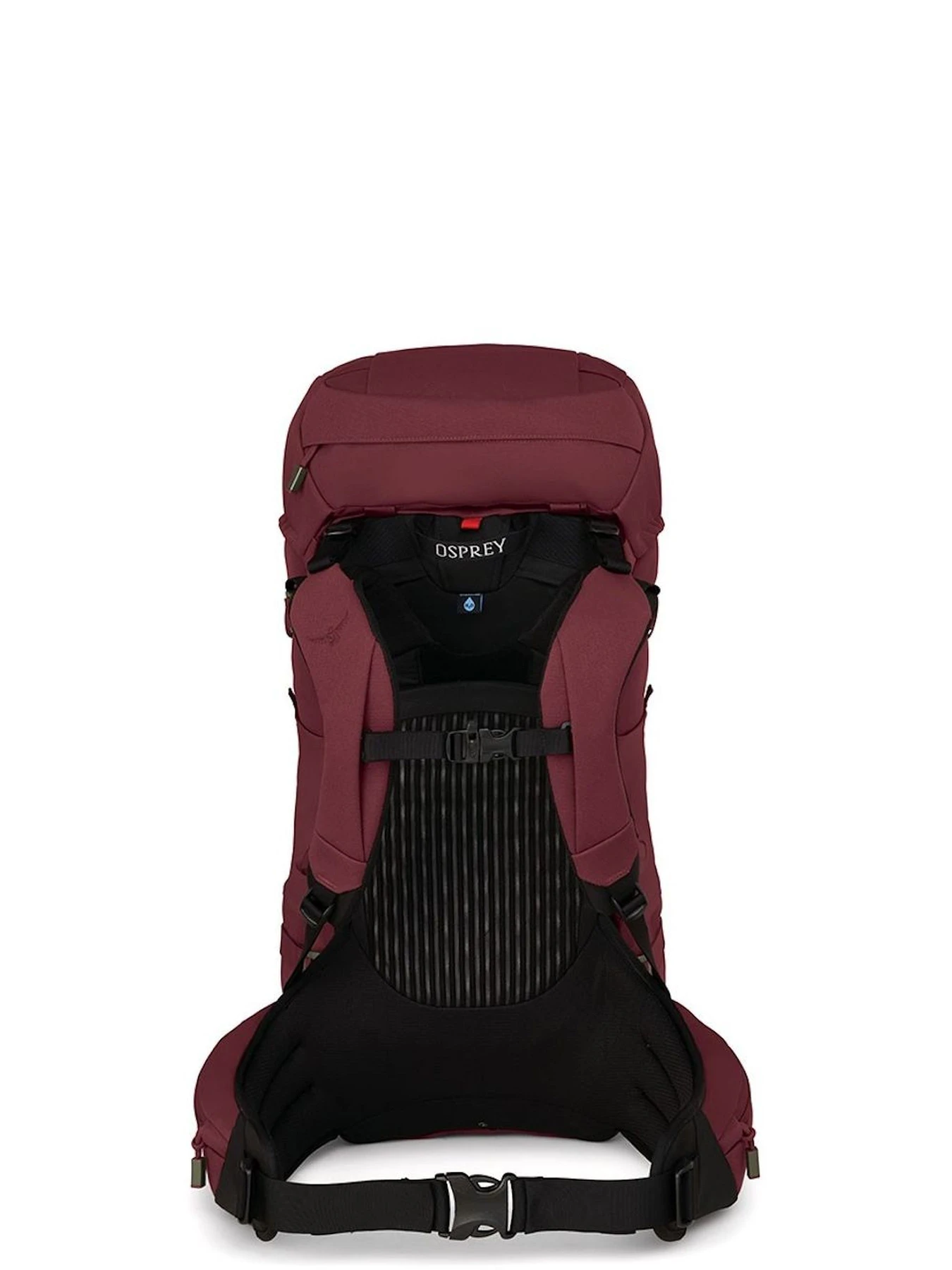 Рюкзаки Osprey модель d552acb8-1fca-11ed-810e-001dd8b72568 Рюкзаки Osprey модель d552acb8-1fca-11ed-810e-001dd8b72568 Фото